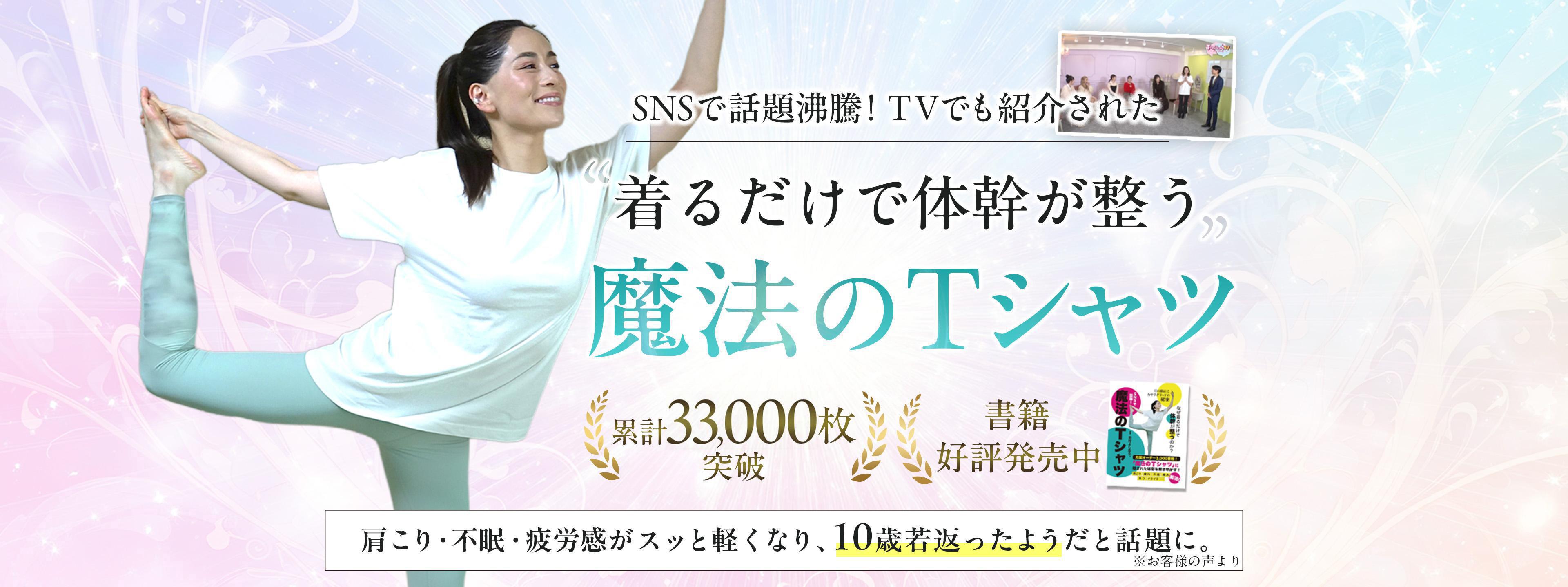 logo33V33